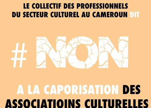Déclaration des Députés SDF rélativement au projet de loi N° 1076/PJL/AN régissant les activités culturelles et artistiques au Cameroun